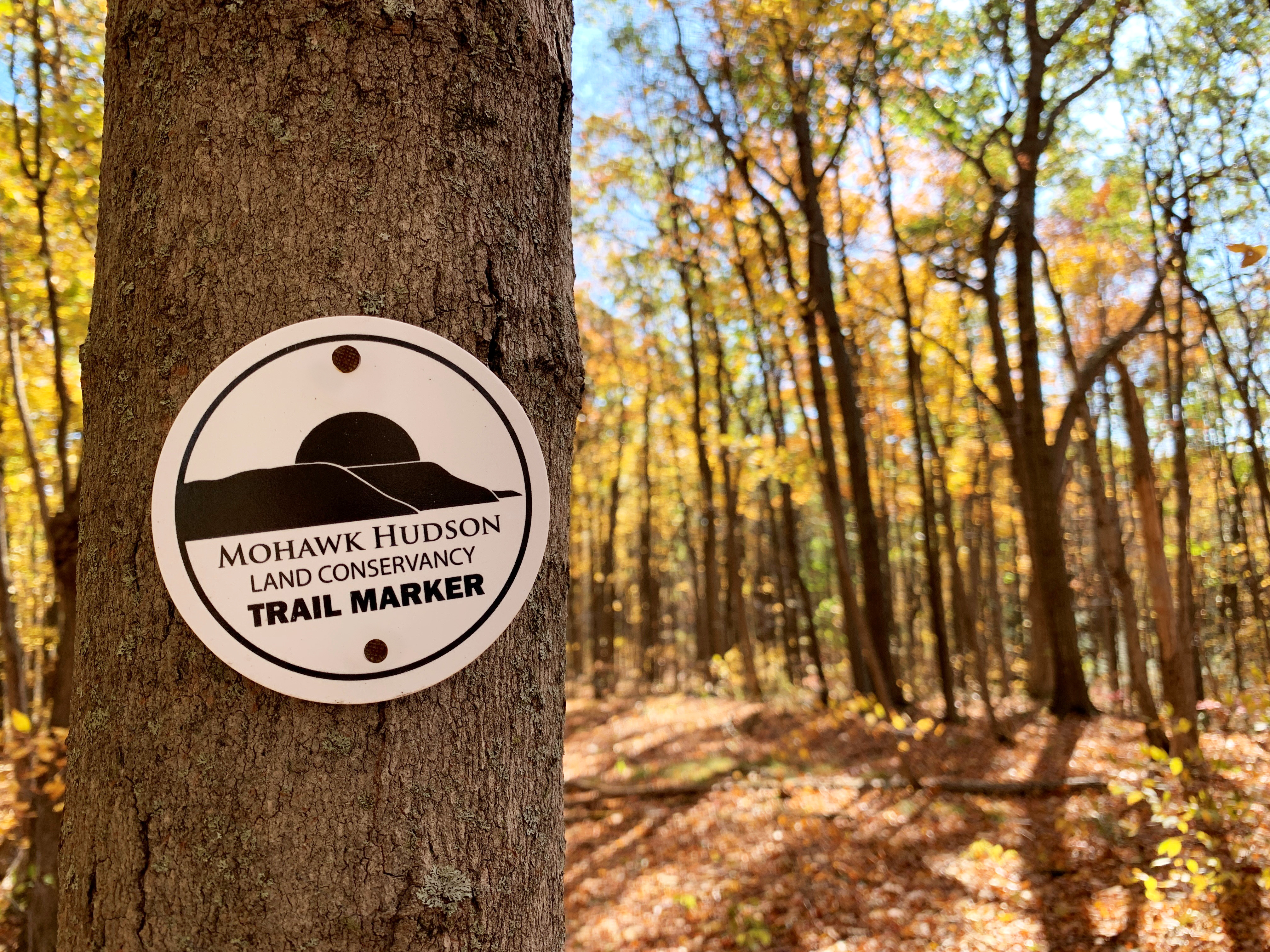 White trail marker and blurred fall trees