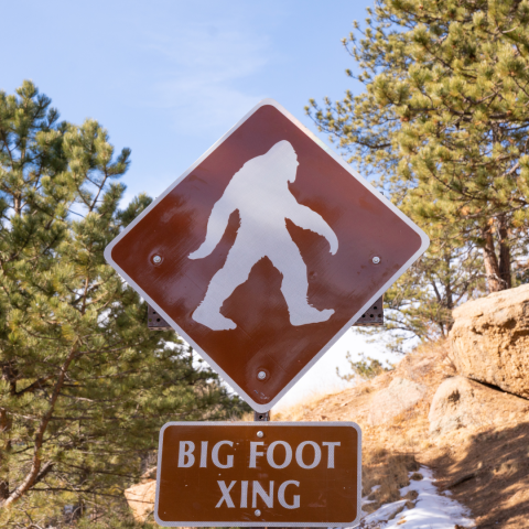 Bigfoot Crossing Sign against a forest background.