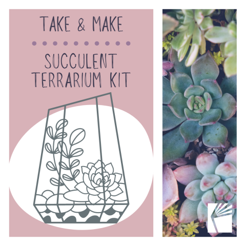 image of different succulent plants and line drawing of terrarium