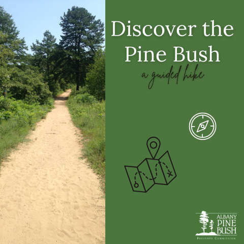 Discover the Pine Bush: Guided Hike