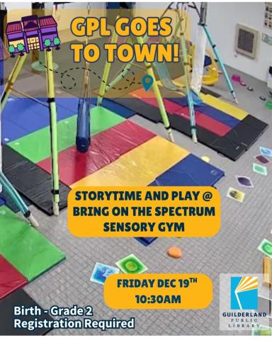 Image of BOTS Sensory Gym