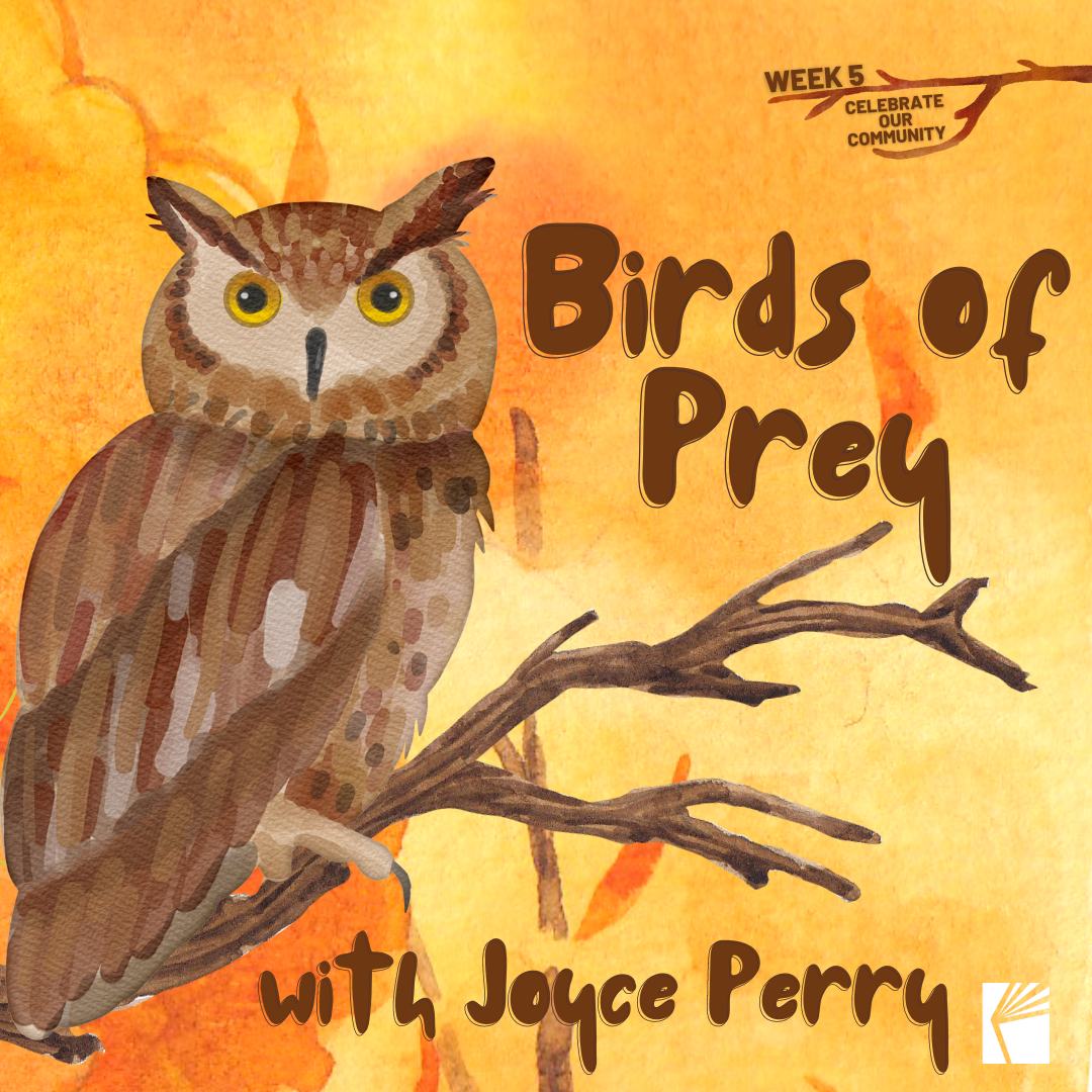 Bird of Prey 8.8