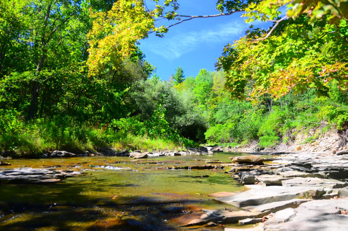 Photo of BozenKill river, trees, sky