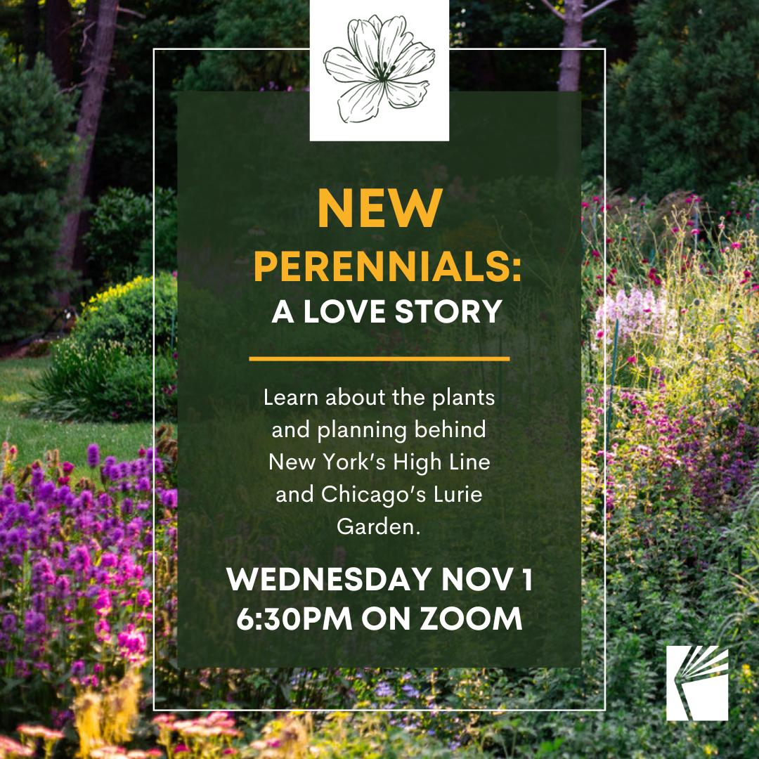 Perennials